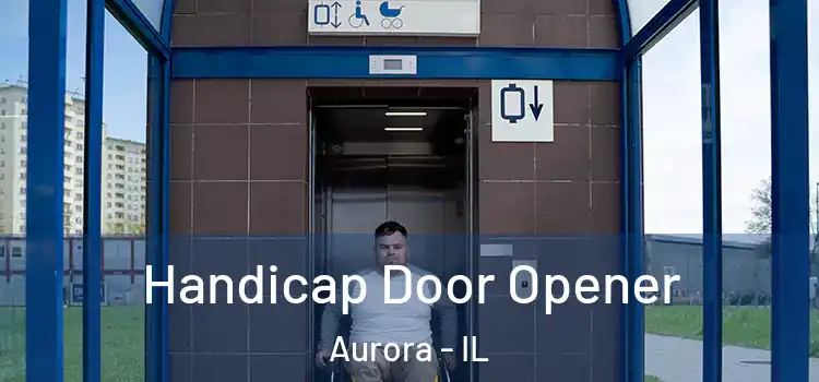 Handicap Door Opener Aurora - IL