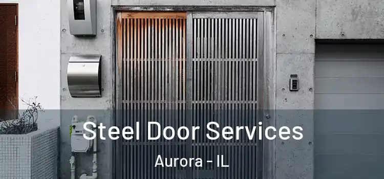 Steel Door Services Aurora - IL